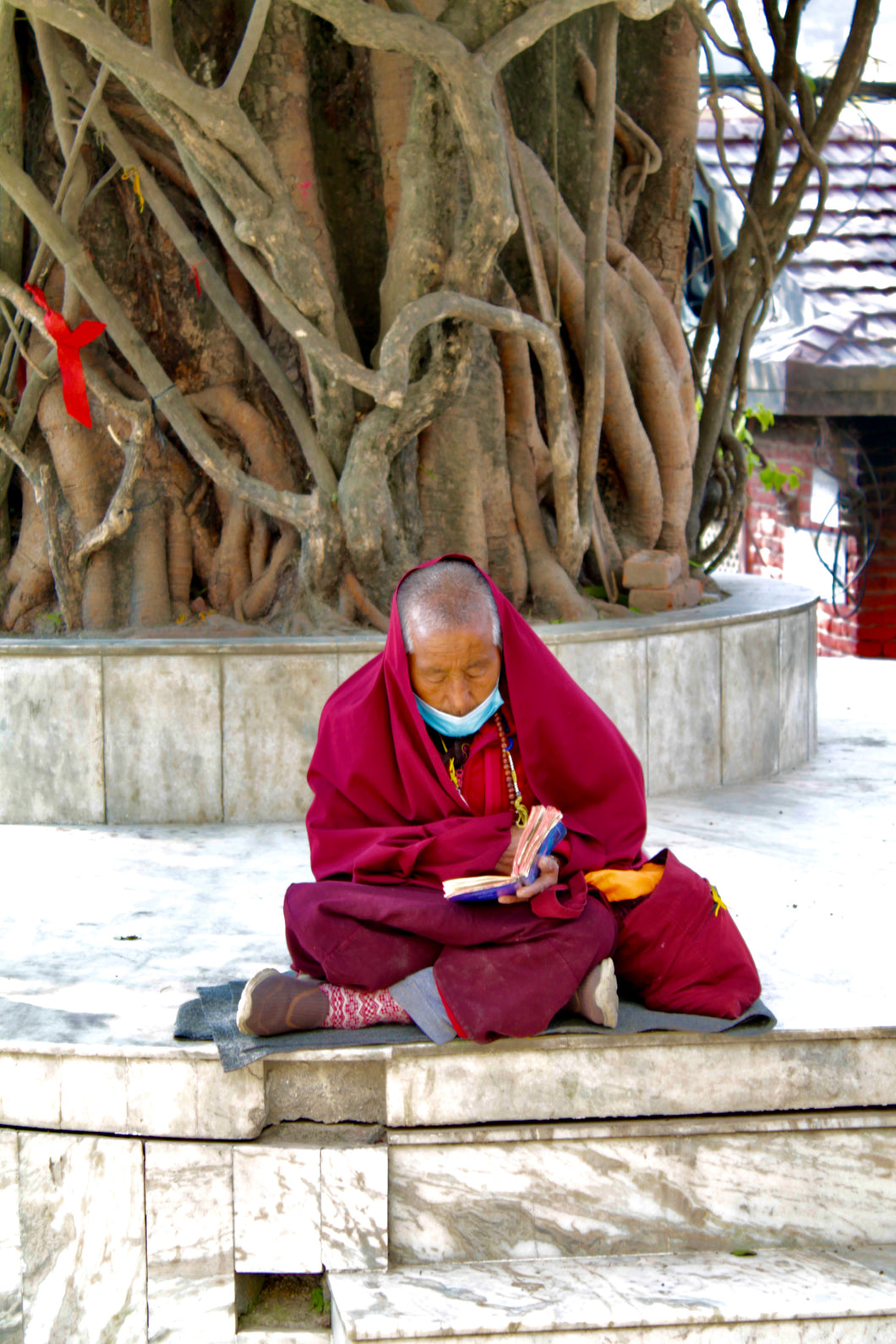 Viaggio in Nepal (Red Monk)